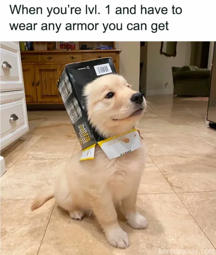 dog